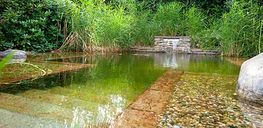 Garten- und Landschaftsbau beinhaltet auch Teichanlagen